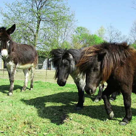 Agriturismo Il Cavenago Farm stay