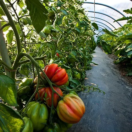 Agriturismo Il Cavenago Gospodarstwo agroturystyczne