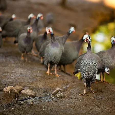 Agriturismo Il Cavenago Gospodarstwo agroturystyczne