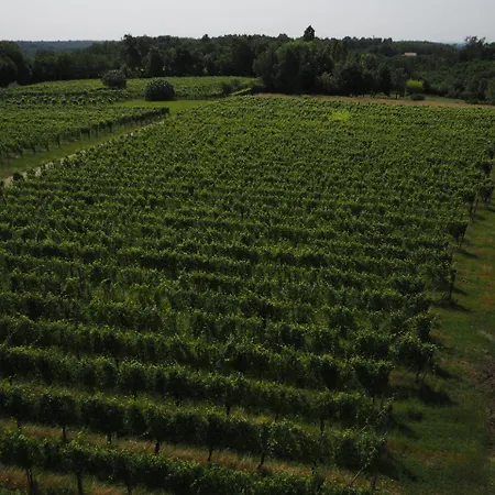 Agriturismo Il Cavenago Farm stay